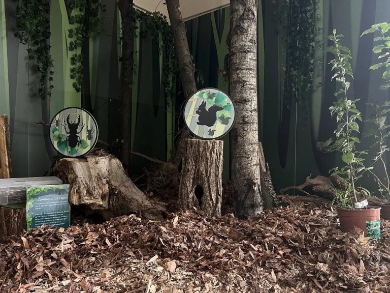 “Dentro le foreste”, la mostra immersiva a Parco Nord Milano